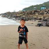 Dự