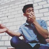 FI