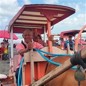 Cự