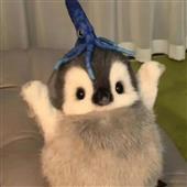 Lo