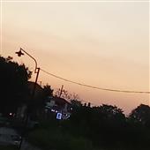 Tỷ