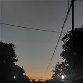 Dự