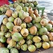 Sứ