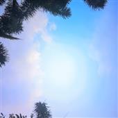 Th