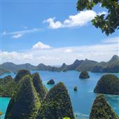 Bầ