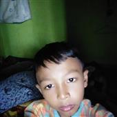 Gi