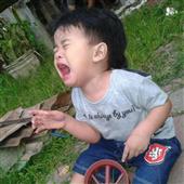 Đồ