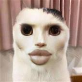 Ki