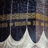 Tr