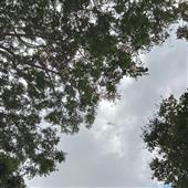 Lễ