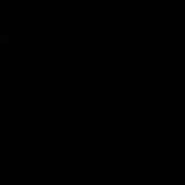 Bl