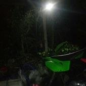 Ph