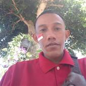 Bó