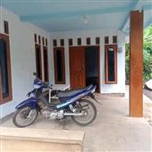 đấ