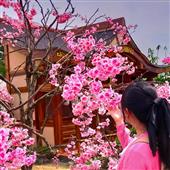 Lị