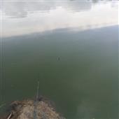 Ti