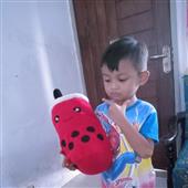 Nô