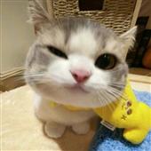 Ti