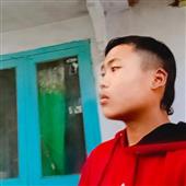 Lị