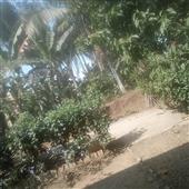 Đấ