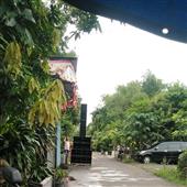 Nổ
