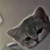 Fo