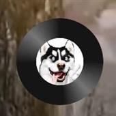 Sô