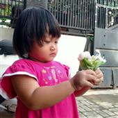 Vậ