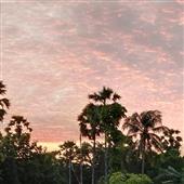 Kế