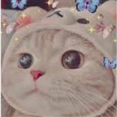 Tỷ