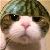 Ho