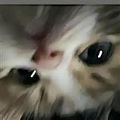 To