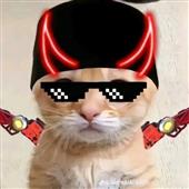 Lo