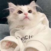 Cỏ