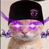 CÁ