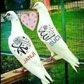 Sk