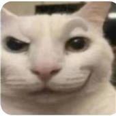 Tr