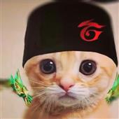 Ma