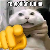 Ki