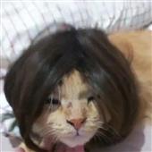 Th