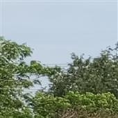 Ph