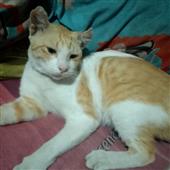 Kẹ