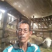 Lễ