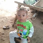 Dự