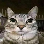 Mè