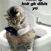 KI