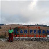 Fi