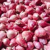 Tỷ
