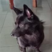 VƯ