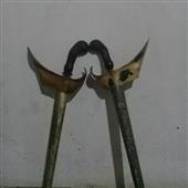 Sp